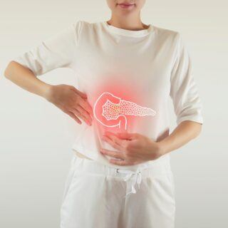 Bauchspeicheldrüse - Anatomie und Funktion Bauchspeicheldrüse - Anatomie und Funktion